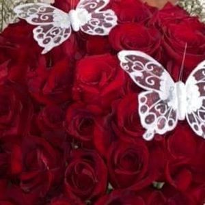 Meet your Posher, Veronica